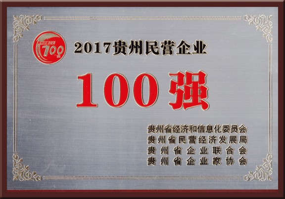 2017貴州民營(yíng)企業(yè)100強(qiáng)